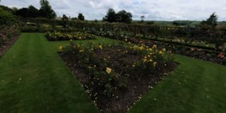 Polesden Lacey Rose Gardens